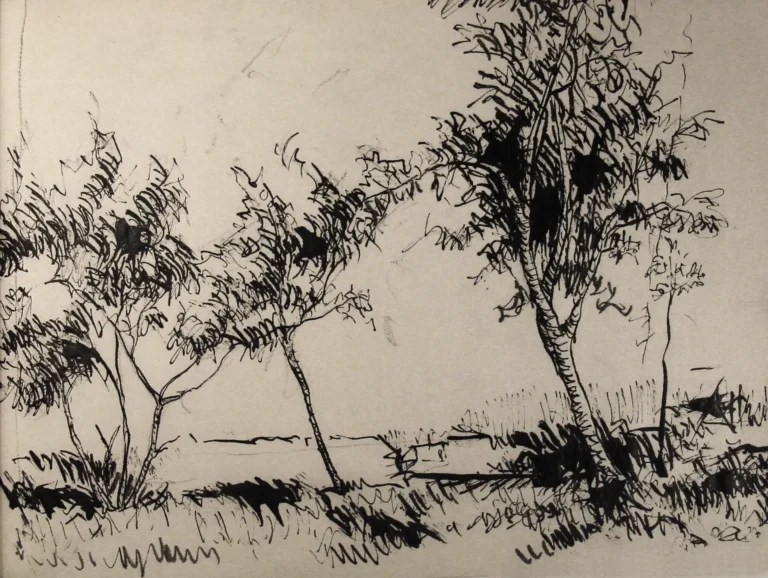 Arbustos. Plumilla sobre papel Bond, 19,2 x 14 cm.