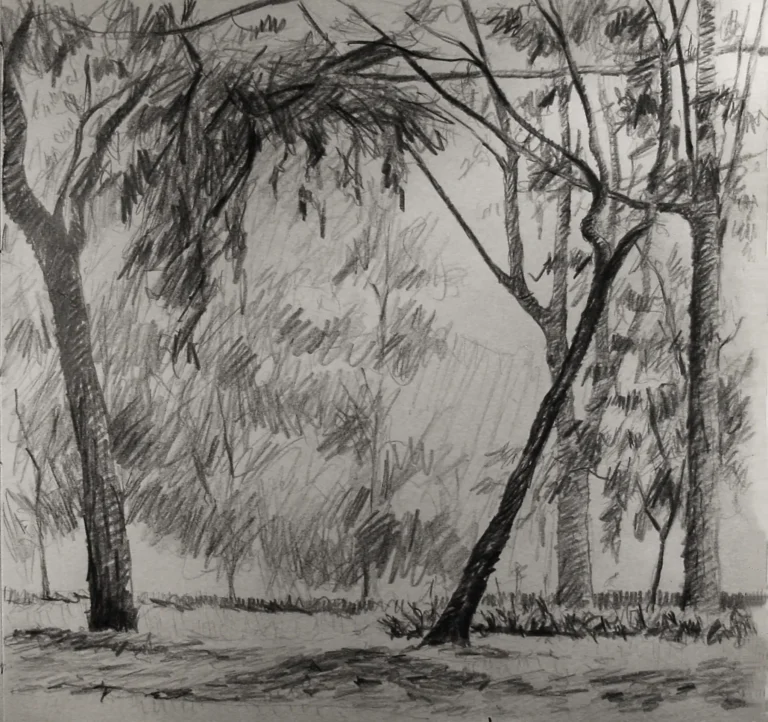 Estudio de árboles