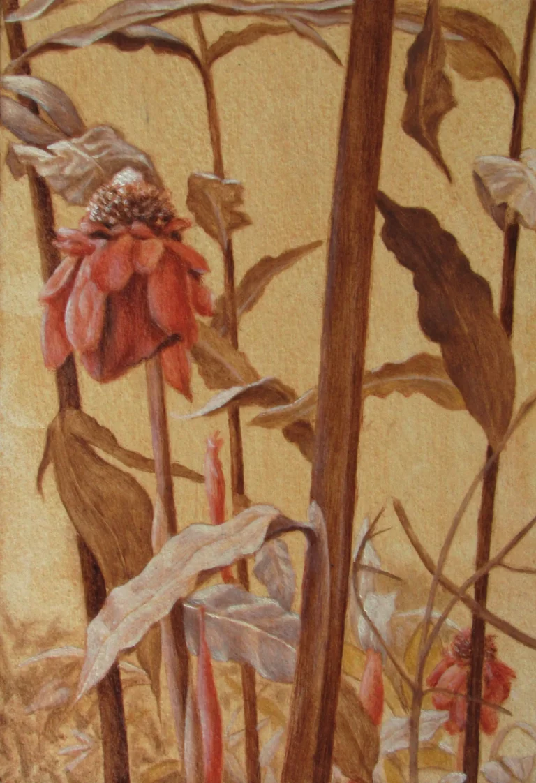 Florez rojas, jardín nativo