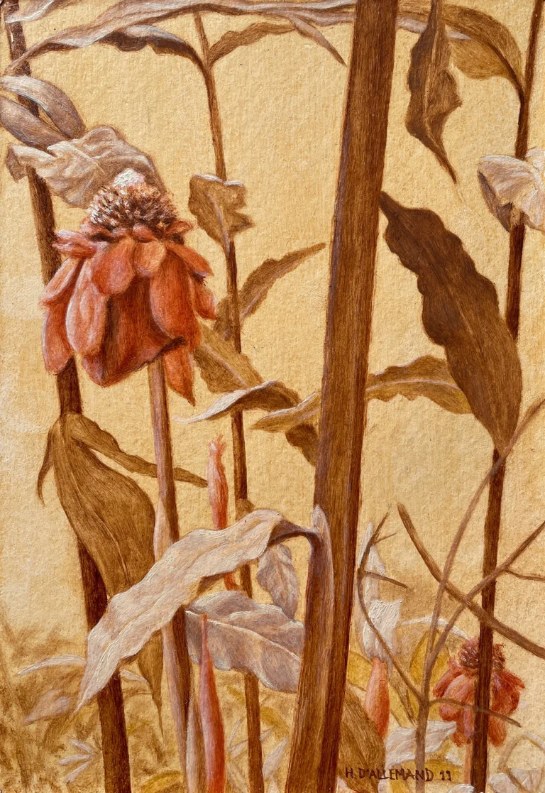 Flores rojas, jardín nativo