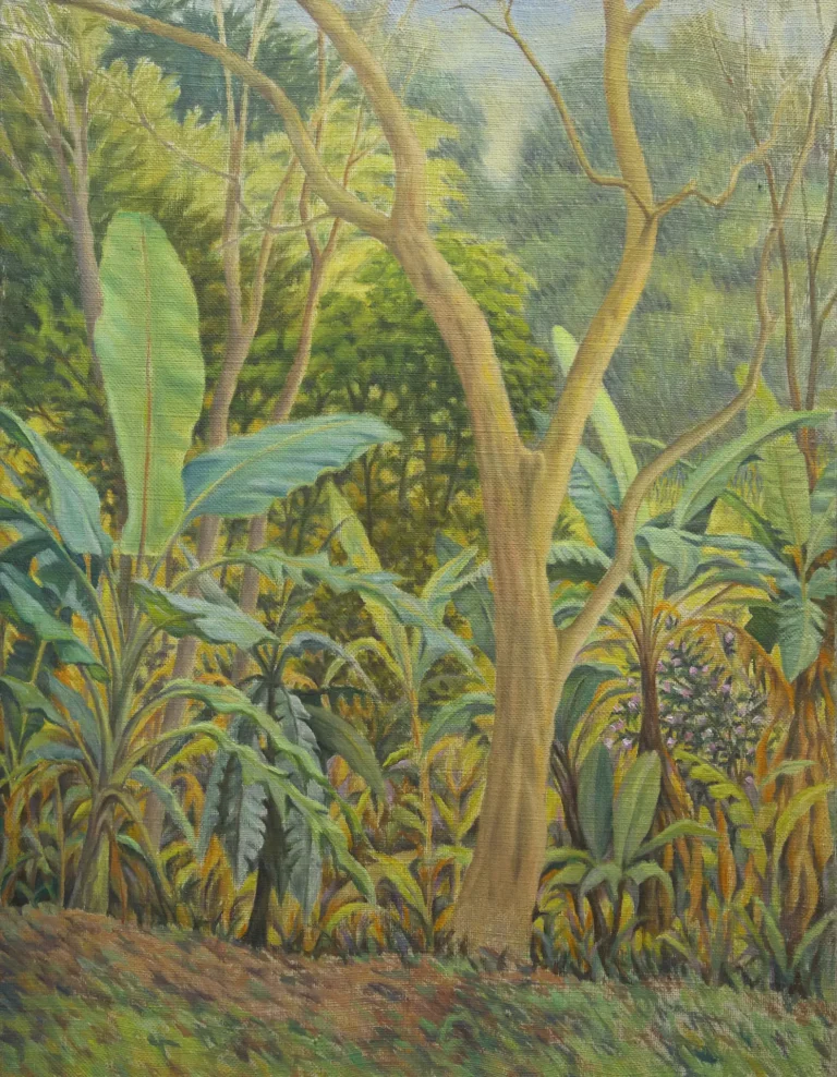 Guayabo y platanales