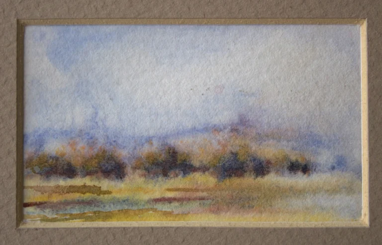 Sol de los venados en tarde brumosa