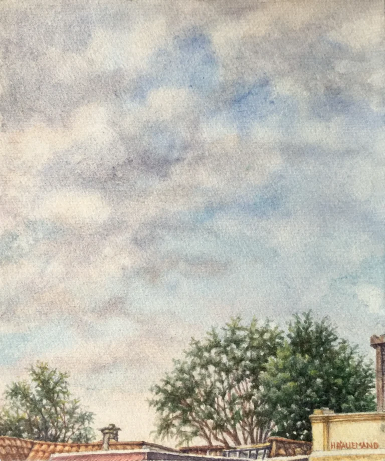 Techos del sur occidente