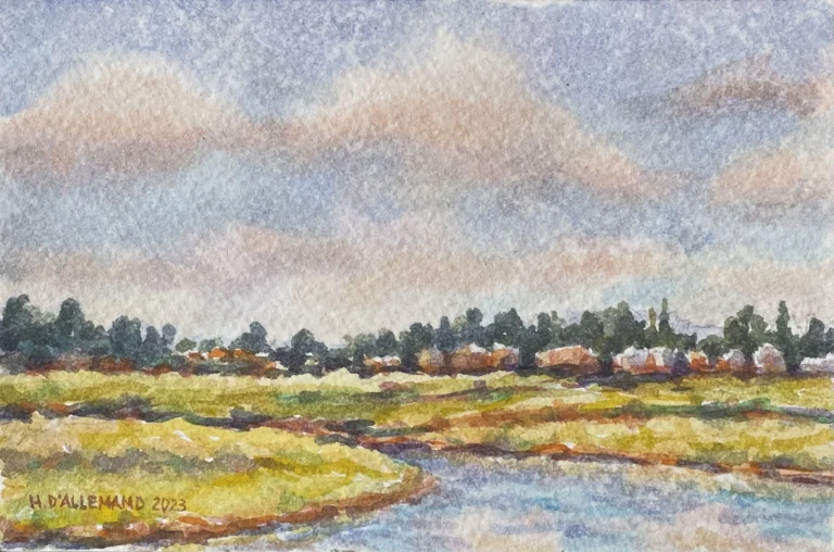 Paisaje sabanero con luz de la tarde