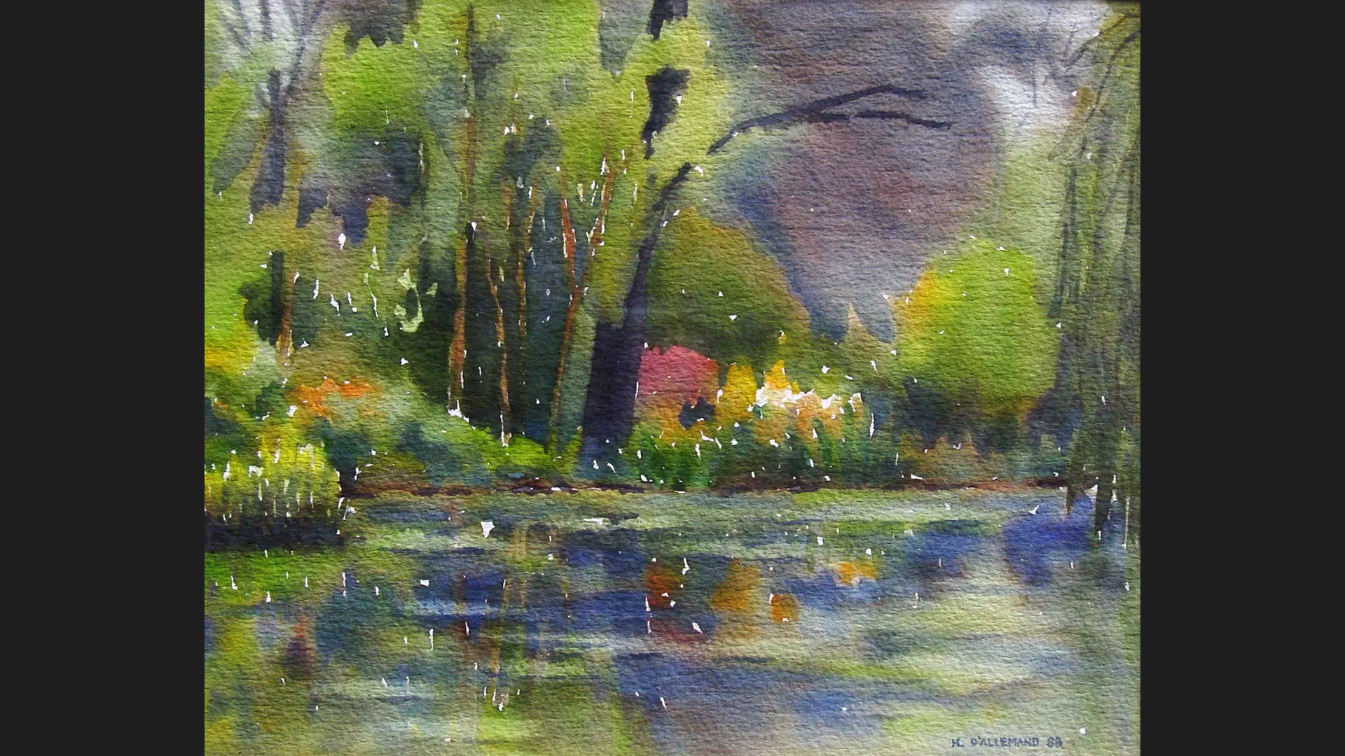 slider hector dallemand pintor colombiano 06